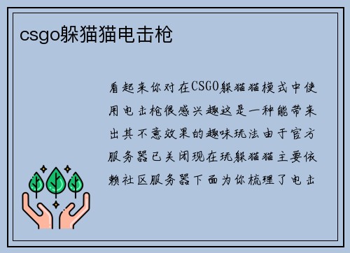 csgo躲猫猫电击枪